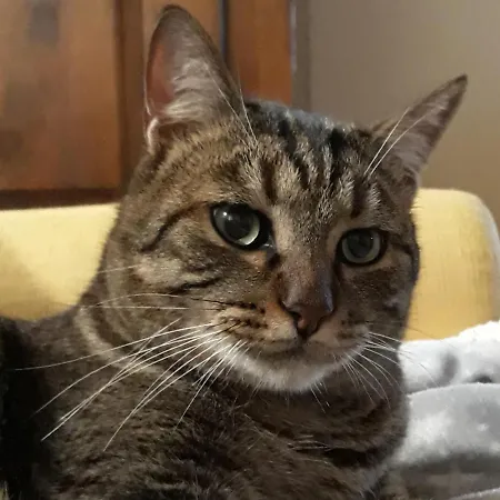 Tenuta Colverano 컨트리하우스 몬테팔코