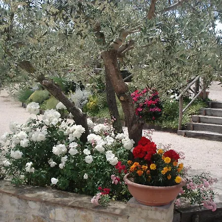 Tenuta Colverano Montefalco