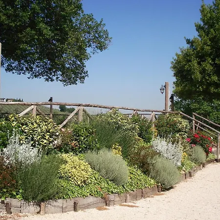 컨트리하우스 Tenuta Colverano 몬테팔코