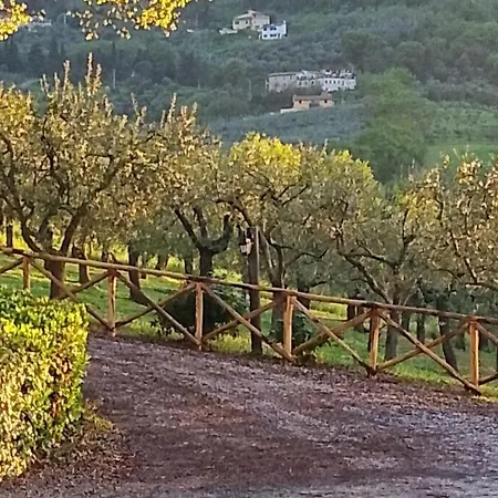 Tenuta Colverano 컨트리하우스 몬테팔코