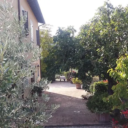 Tenuta Colverano مونتيفالكو
