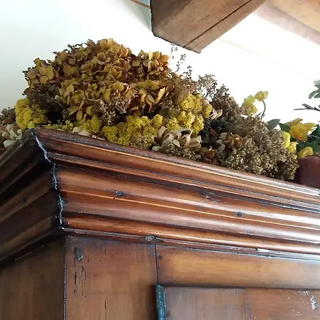 Tenuta Colverano منزل ريفي