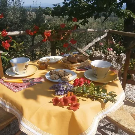 Casa rural Tenuta Colverano *