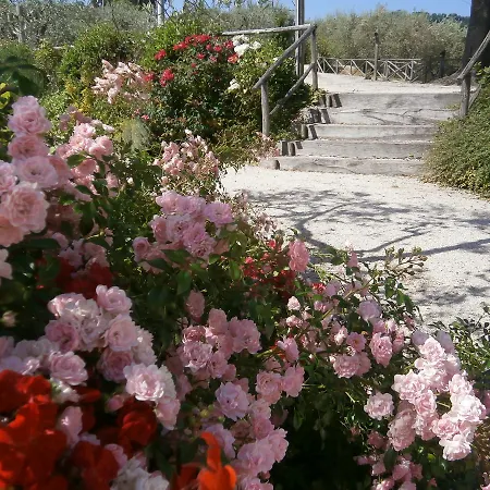 Tenuta Colverano 몬테팔코