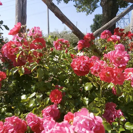 Tenuta Colverano 컨트리하우스 몬테팔코