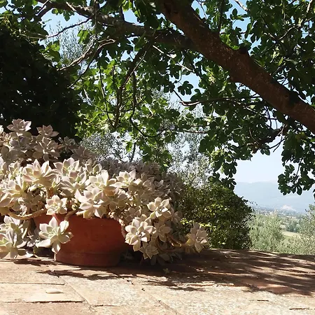 Tenuta Colverano Casa rural Montefalco