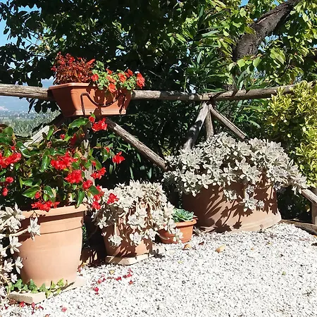 Tenuta Colverano *