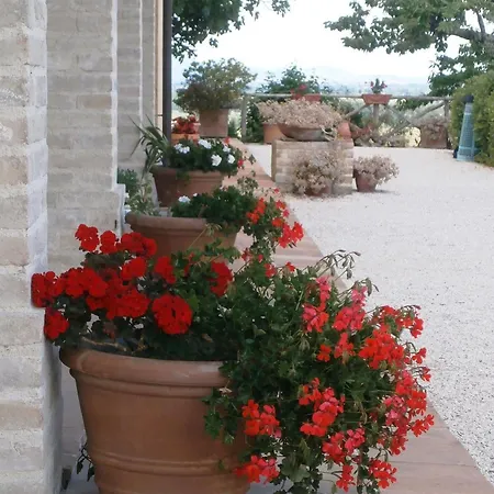 Tenuta Colverano Casa rural *