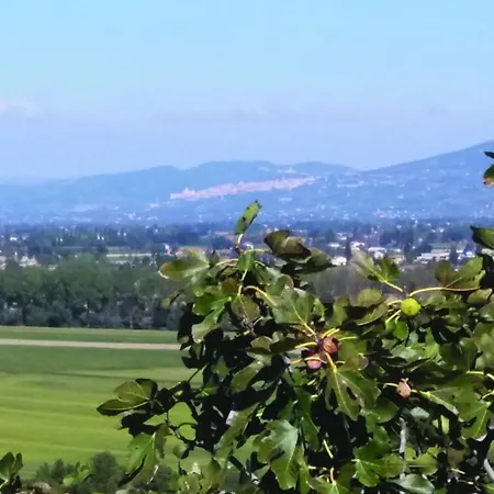 컨트리하우스 Tenuta Colverano 몬테팔코