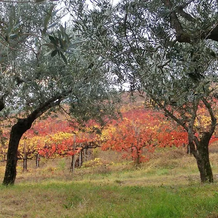 Tenuta Colverano 컨트리하우스 몬테팔코