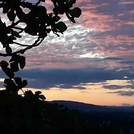 Casa rural Tenuta Colverano *