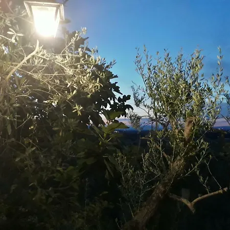 Tenuta Colverano 컨트리하우스 *