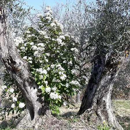 Tenuta Colverano Country house