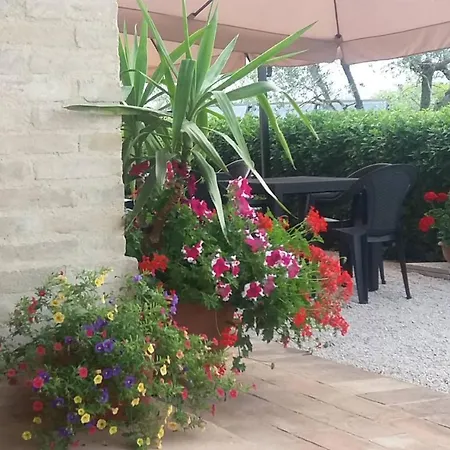 Tenuta Colverano