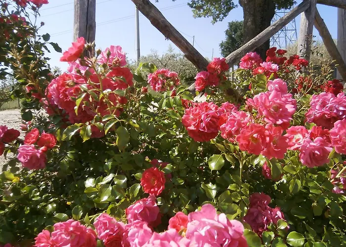 Tenuta Colverano Casa di campagna Montefalco